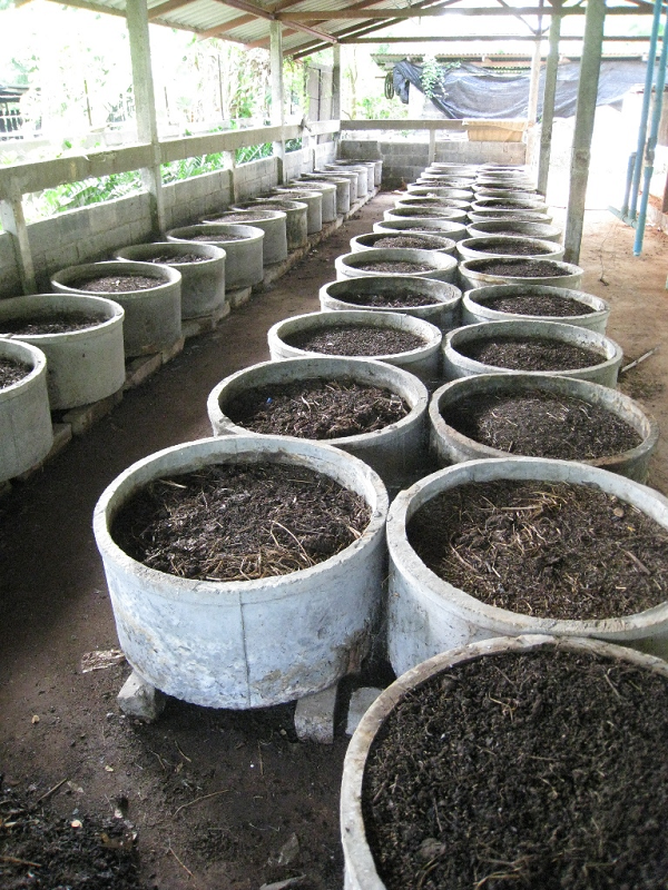 Worm Farm